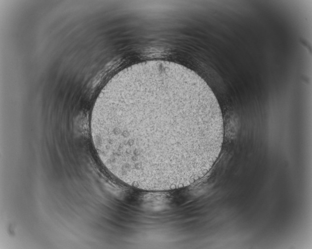X0000103960179200810311623