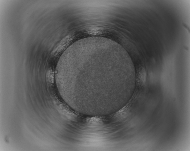 X0000103960180200810311623