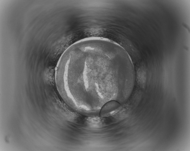 X0000103960181200810311623