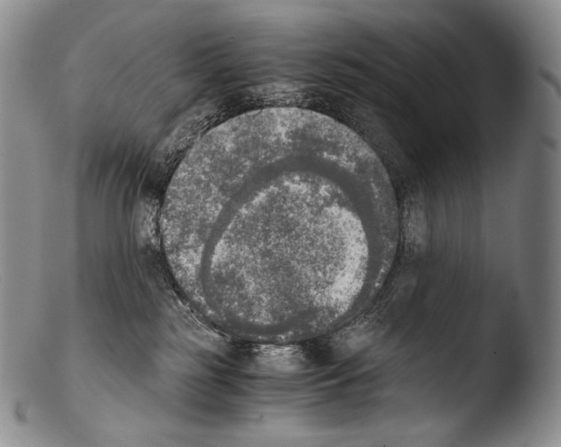 X0000103960185200810311623