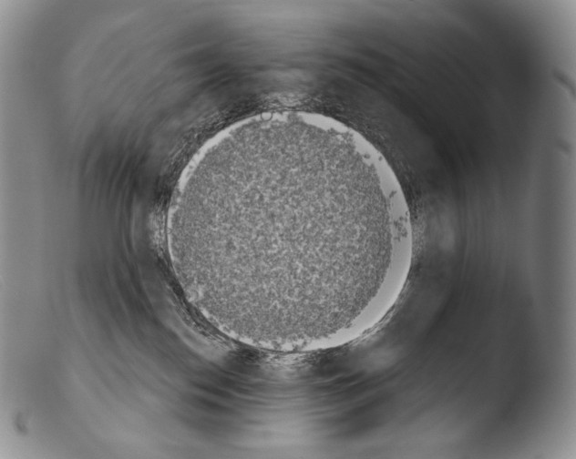 X0000103960186200810311623