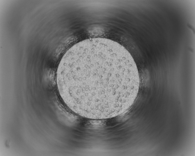 X0000103960187200810311623
