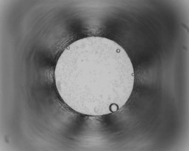 X0000103960188200810311623