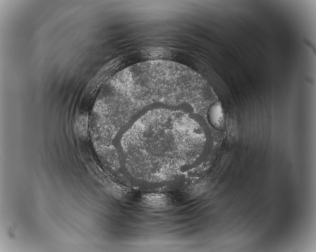 X0000103960189200810311623