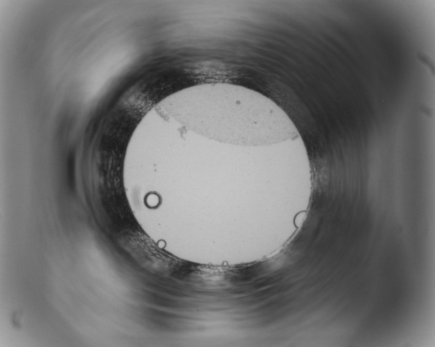 X0000103960190200810311623