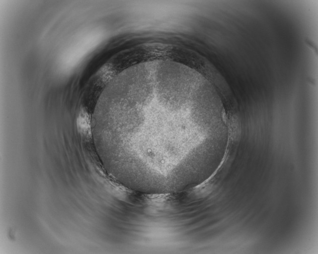 X0000103960191200810311623