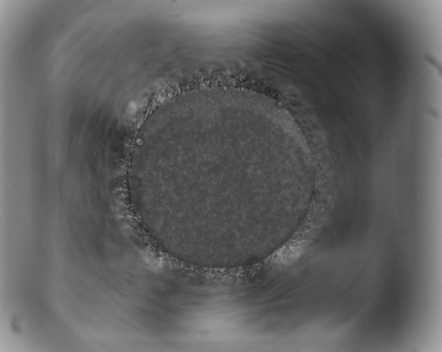 X0000103960192200810311623