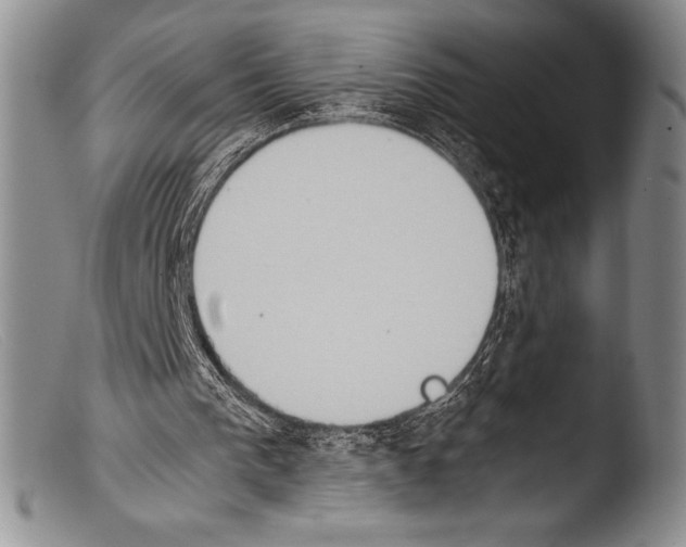 X0000103960193200810311622