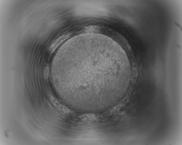 X0000103960194200810311622