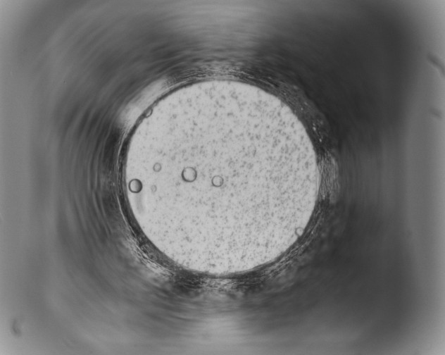 X0000103960195200810311622
