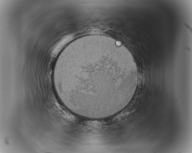 X0000103960197200810311622