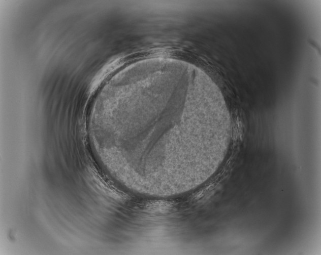 X0000103960198200810311622