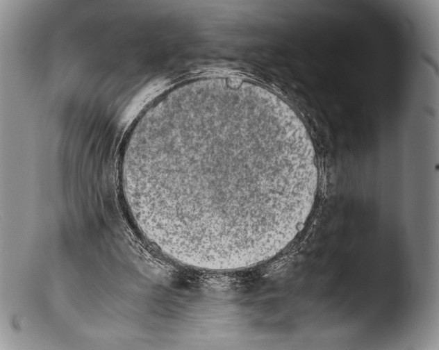 X0000103960199200810311622