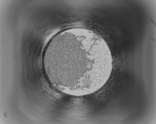X0000103960200200810311622