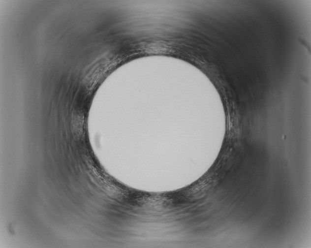 X0000103960201200810311622