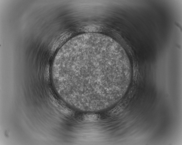 X0000103960202200810311622