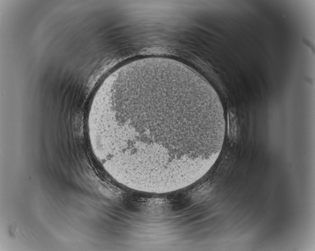 X0000103960204200810311622