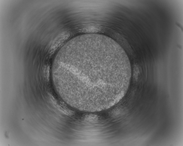 X0000103960206200810311622
