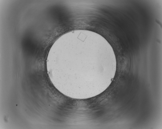 X0000103960207200810311622