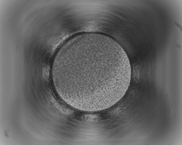 X0000103960208200810311622