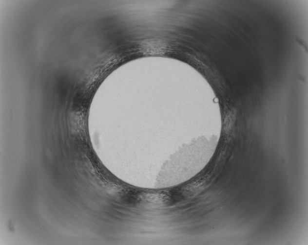 X0000103960209200810311622
