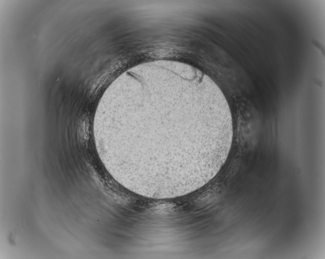 X0000103960210200810311622