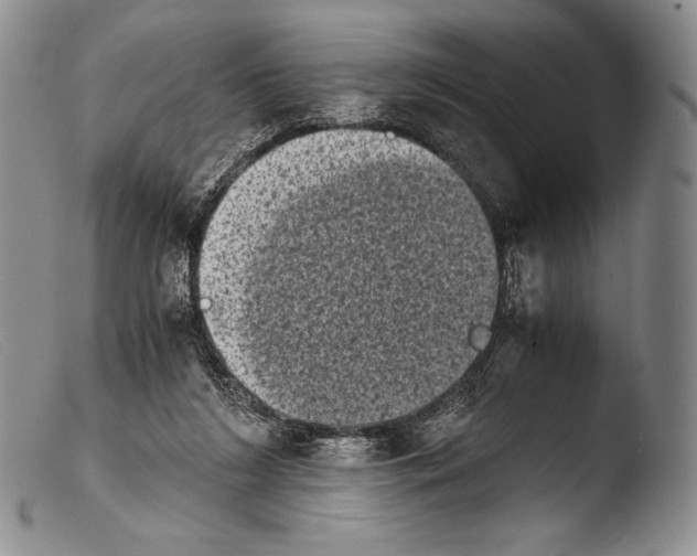 X0000103960212200810311622
