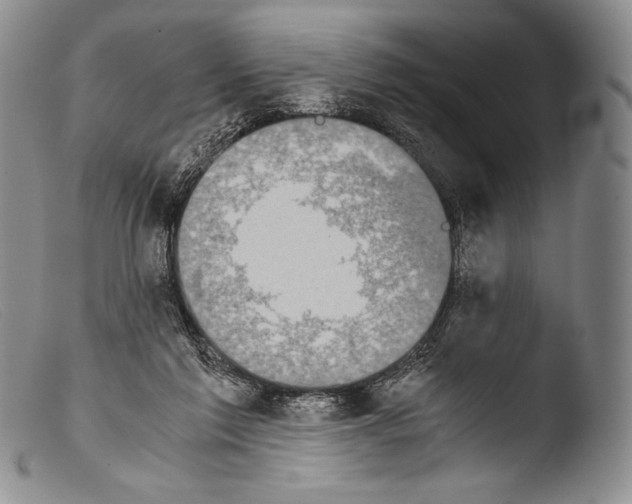 X0000103960213200810311622