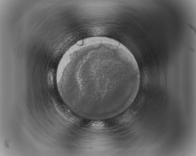 X0000103960214200810311622