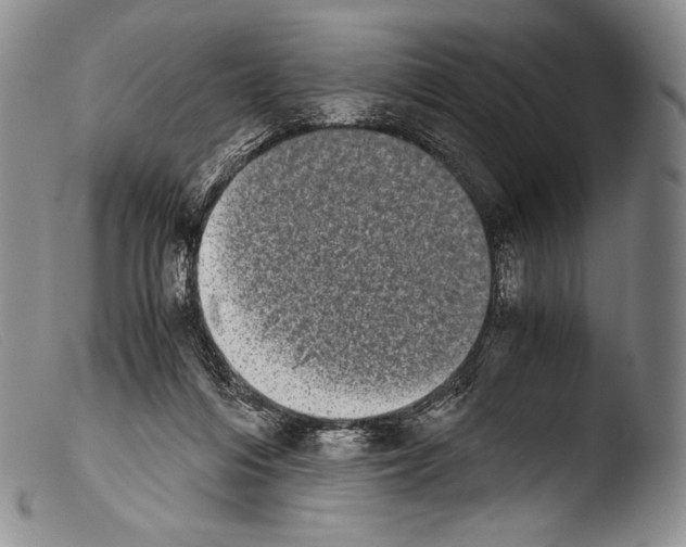 X0000103960216200810311622