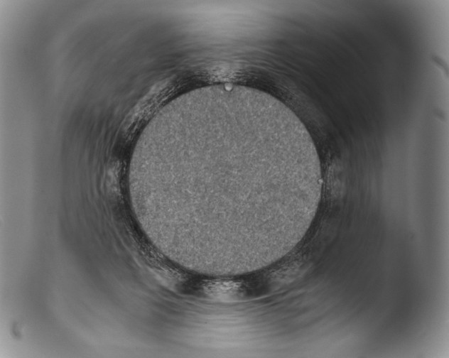 X0000103960217200810311622