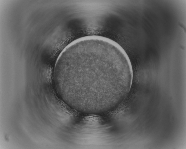 X0000103960219200810311622