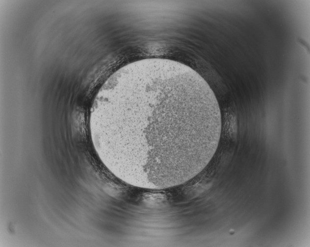 X0000103960220200810311622