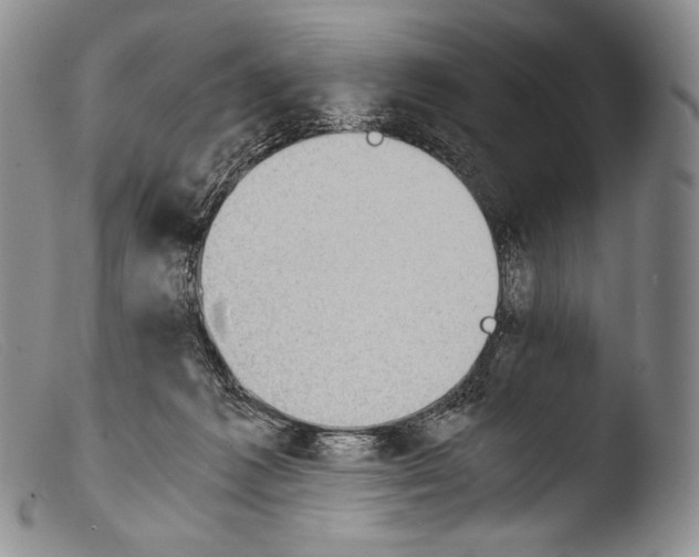 X0000103960221200810311622