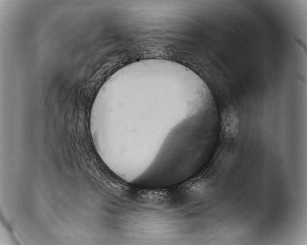 X0000103960223200810311622