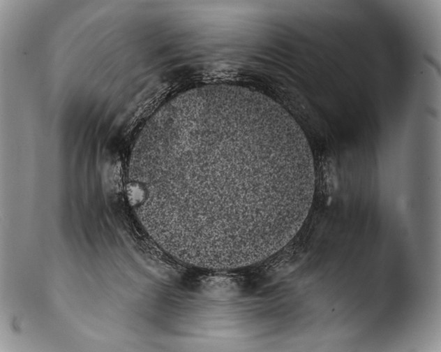X0000103960224200810311622
