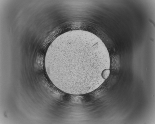 X0000103960226200810311622