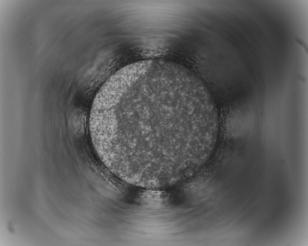 X0000103960227200810311622