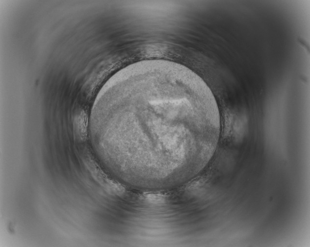 X0000103960228200810311622