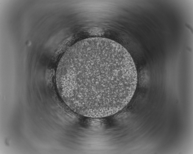 X0000103960229200810311622