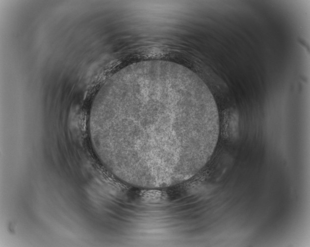 X0000103960230200810311622