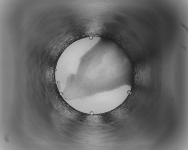 X0000103960231200810311622