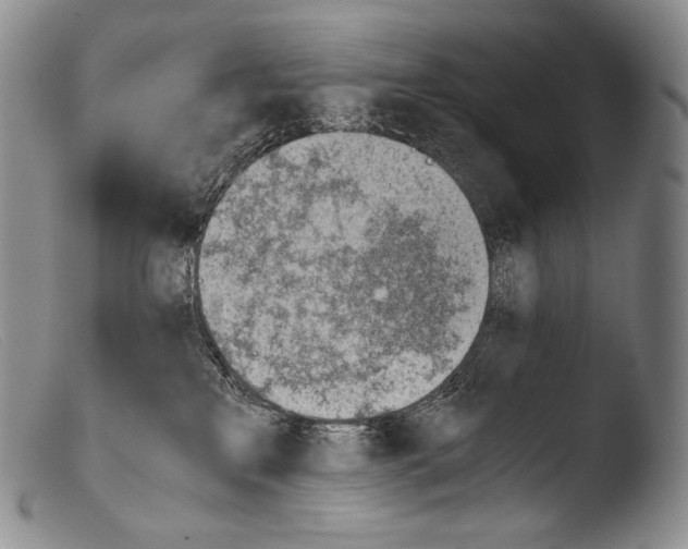 X0000103960233200810311621