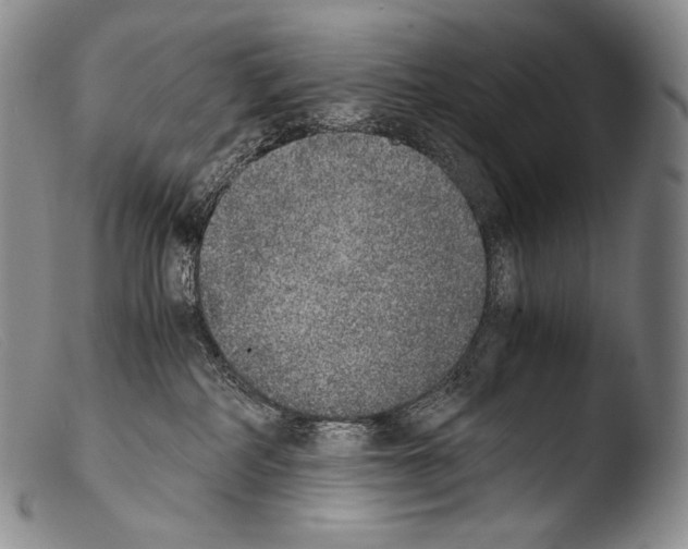 X0000103960234200810311621