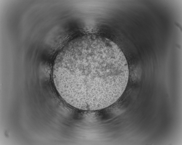 X0000103960235200810311621