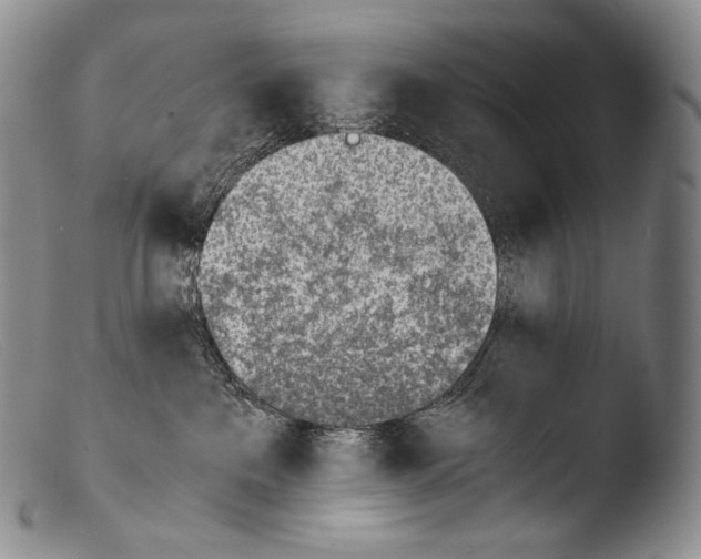 X0000103960237200810311621