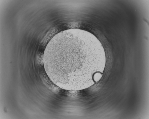 X0000103960240200810311621