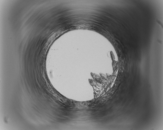 X0000103960241200810311621