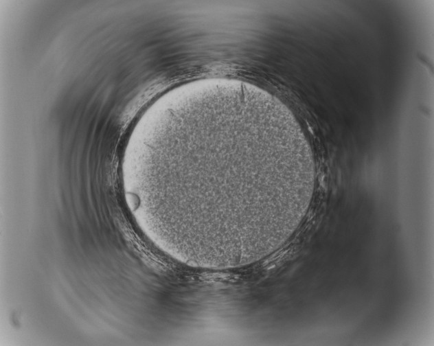X0000103960242200810311621