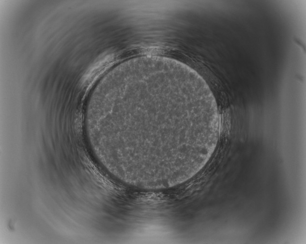 X0000103960243200810311621